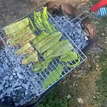 Dini