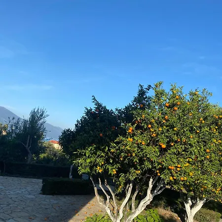 Casa de hóspedes Dini 3*