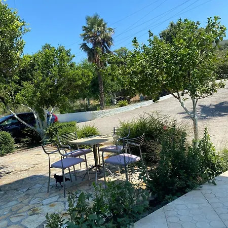 Πανσιόν Dini