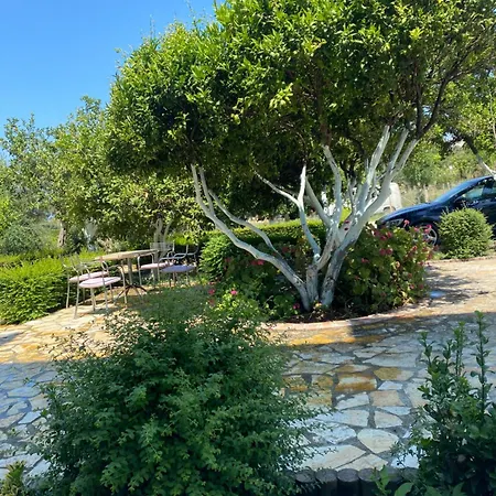 בית הארחה Dini Radhimë