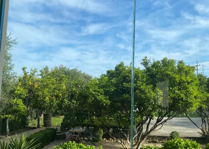 Pensión Dini Radhimë