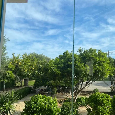 게스트하우스 Dini Radhimë