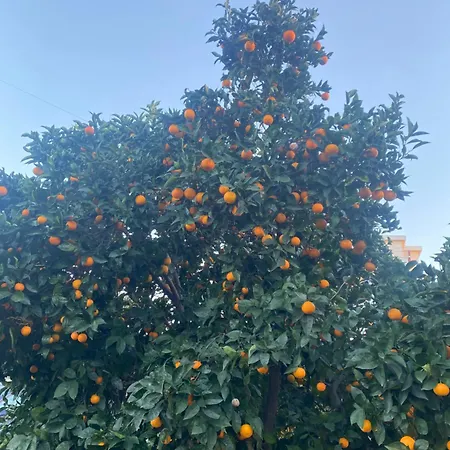 Dini Maison d'hôtes